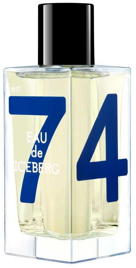 Kvepalai vyrams Iceberg Eau de Iceberg Cedar EDT, 100 ml