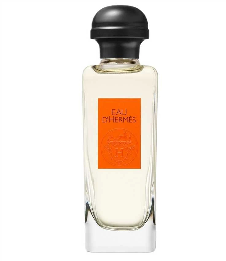 Hermes Eau D'Hermes EDT tualetinis vanduo, 100 ml