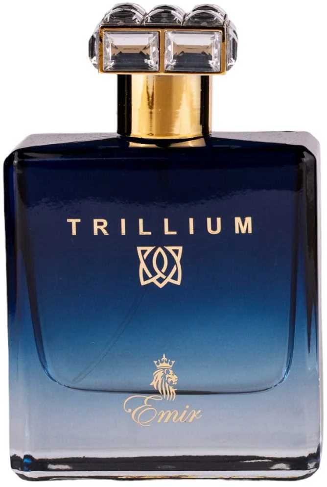 Emir Trillium EDP parfumuotas vanduo vyrams, 100 ml