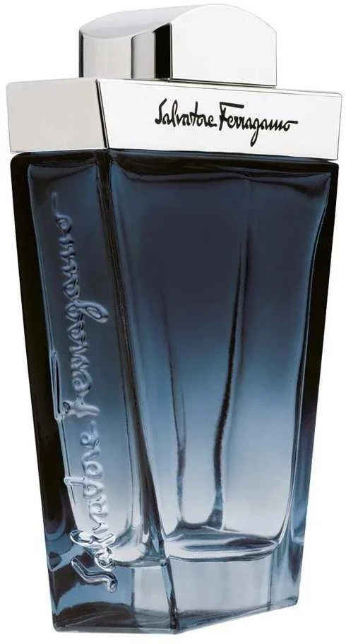 Salvatore Ferragamo Subtil Pour Homme EDT tualetinis vanduo vyrams, 100 ml