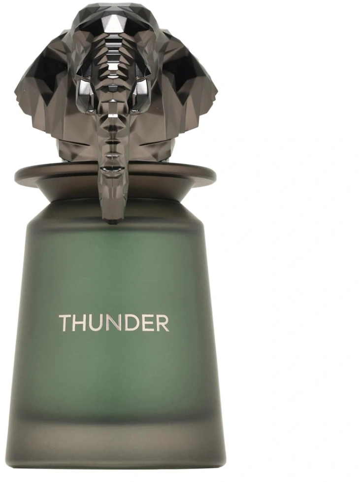 French Avenue Thunder EDP parfumuotas vanduo unisex, 100 ml