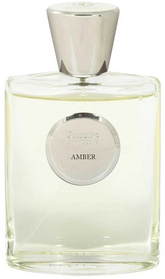 Giardino Benessere Amber EDP parfumuotas vanduo unisex, 100 ml
