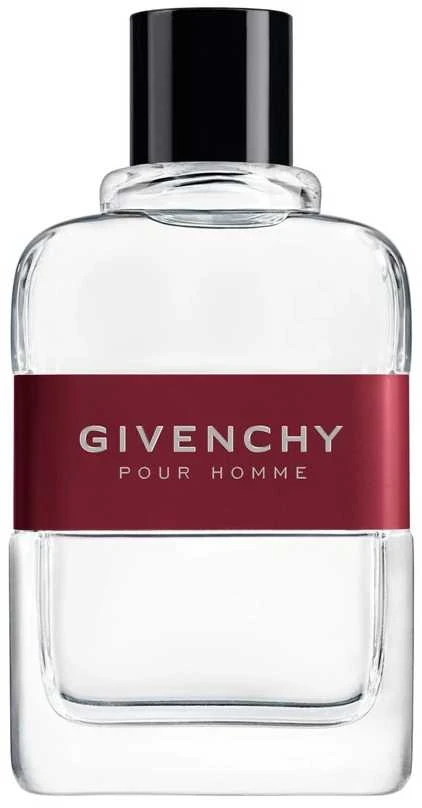 Givenchy Pour Homme EDT tualetinis vanduo vyrams, 100 ml