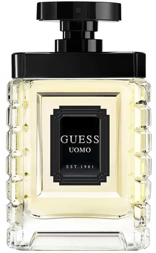 Kvepalai vyrams Guess Uomo EDT, 100 ml
