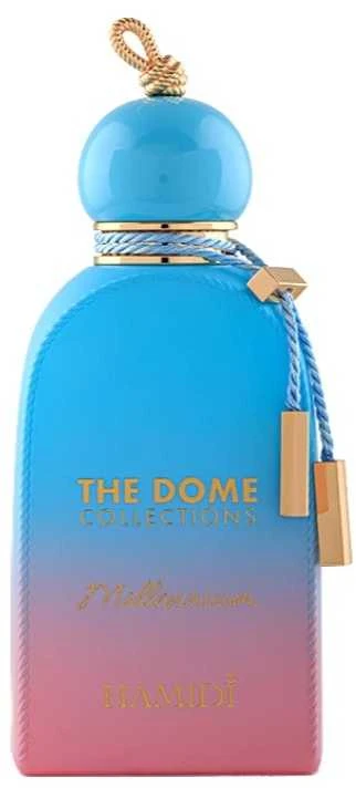 Hamidi Millenium EDP parfumuotas vanduo unisex, 100 ml