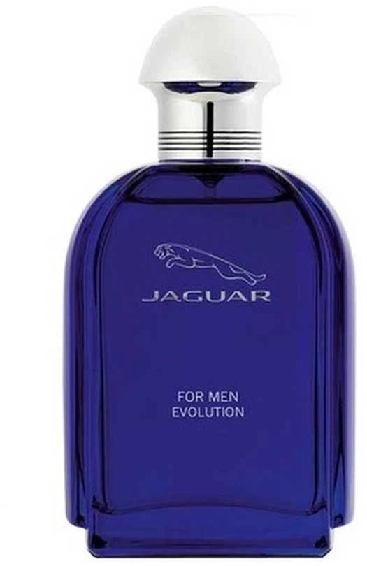 Kvepalai vyrams Jaguar Evolution EDT, 100 ml