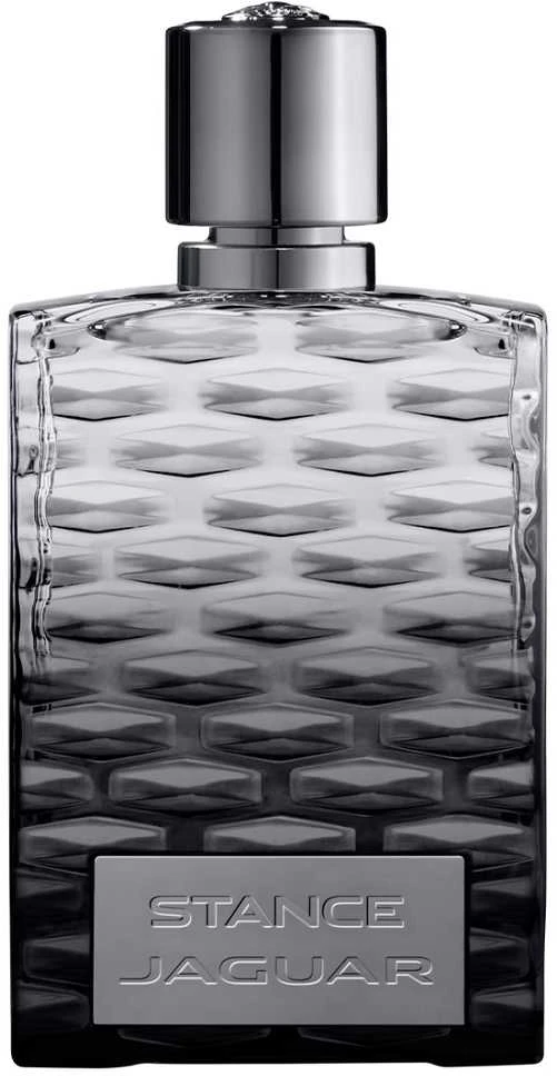 Jaguar Stance EDT tualetinis vanduo vyrams, 100 ml
