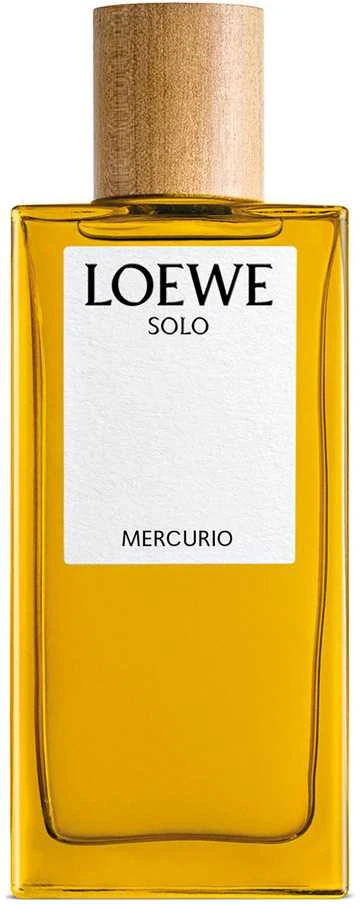 Loewe Solo Mercurio EDP parfumuotas vanduo vyrams, 100 ml