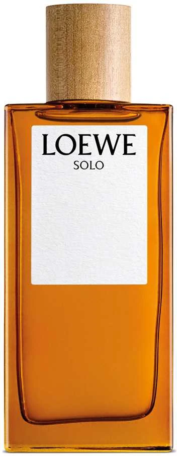 Moschino Loewe Solo Loewe Pour Homme EDT tualetinis vanduo vyrams, 100 ml
