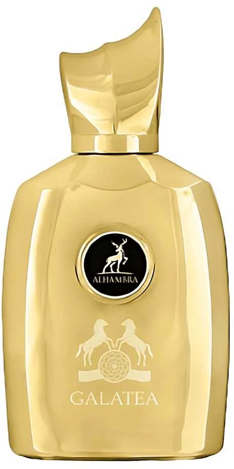 Maison Alhambra Galatea EDP parfumuotas vanduo vyrams, 100 ml