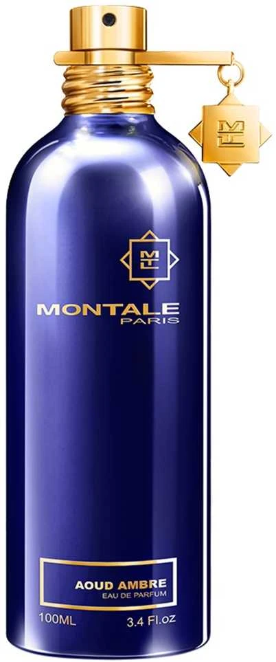 Montale Paris Aoud Ambre parfuminis purškiklis 100ml