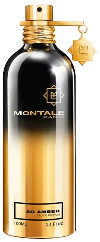 Kvapusis vanduo  Montale Paris So Amber UNISEX (Kvepalai Vyrams ir Moterims) EDP 100ml