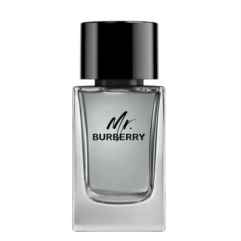 Mr Burberry EDT tualetinis vanduo unisex, 100 ml
