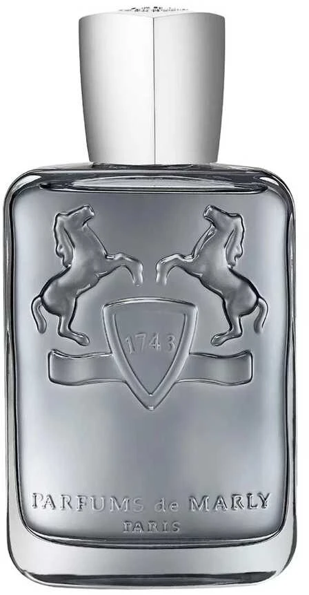 Parfums de Marly Castley EDP parfumuotas vanduo vyrams, 125 ml