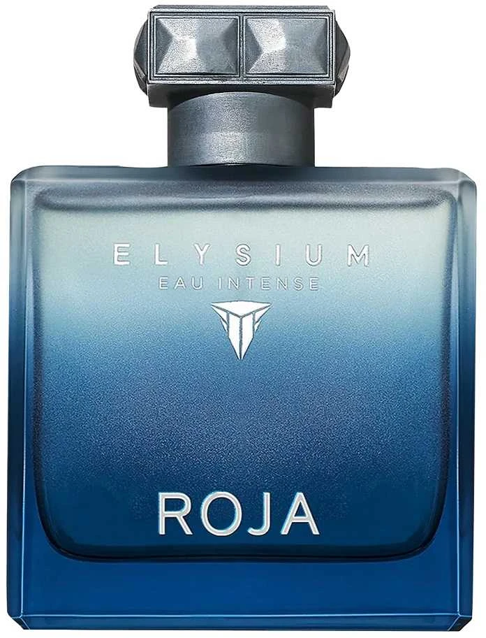 Roja Parfums Elysium Eau Intense Pour Homme EDP parfumuotas vanduo vyrams, 100 ml