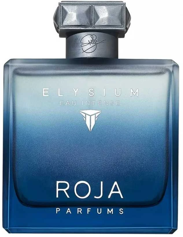 Roja Parfums Elysium Eau Intense EDP parfumuotas vanduo vyrams, 100 ml