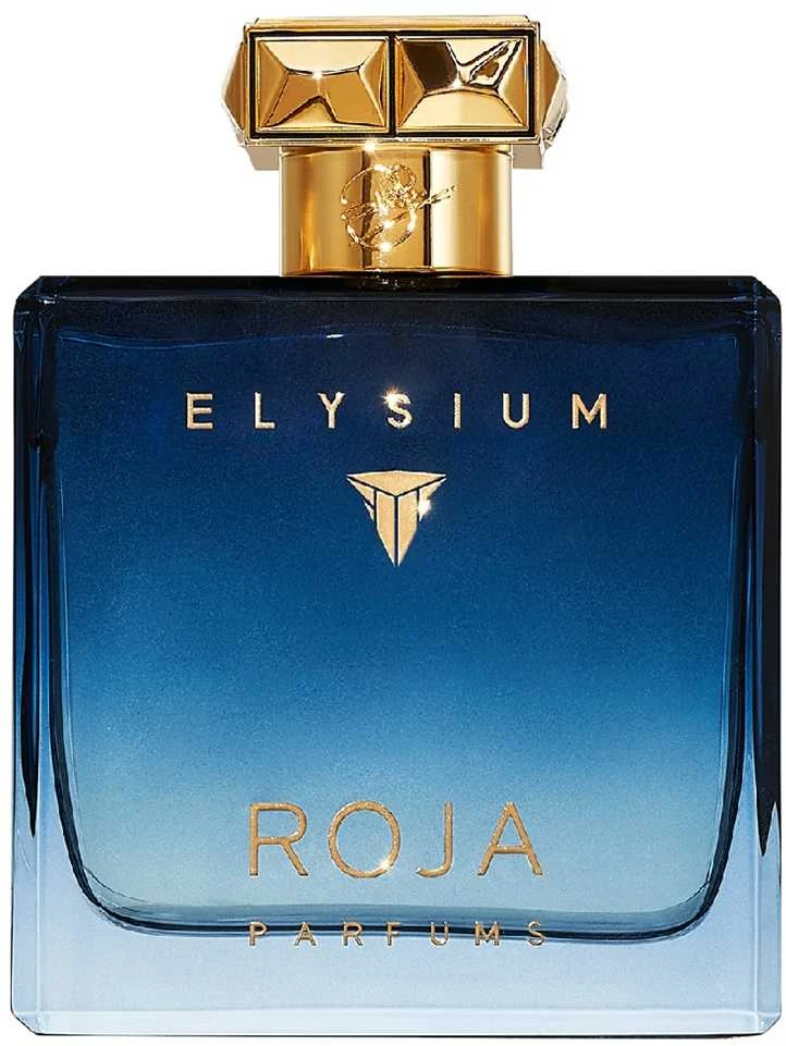 Roja Parfums Roja Elysium Pour Homme EDP parfumuotas vanduo vyrams, 100 ml