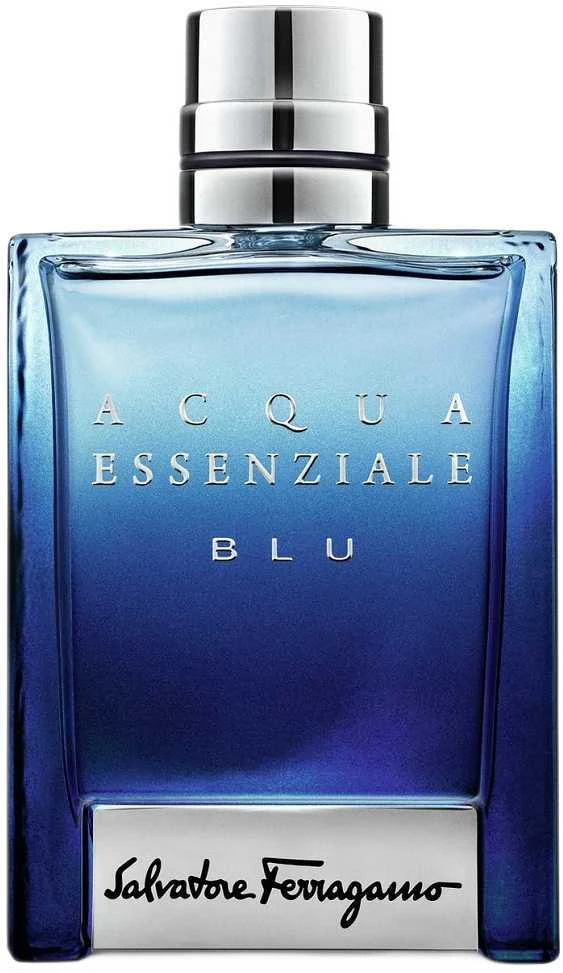Salvatore Ferragamo Acqua Essenziale Blu EDT tualetinis vanduo vyrams, 100 ml