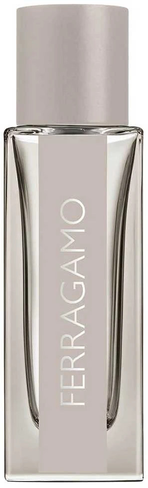 Salvatore Ferragamo Bright Leather EDT tualetinis vanduo vyrams, 30 ml