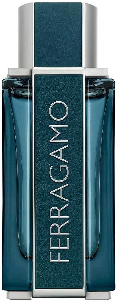 Salvatore Ferragamo Ferragamo Intense Leather EDP parfumuotas vanduo vyrams, 100 ml