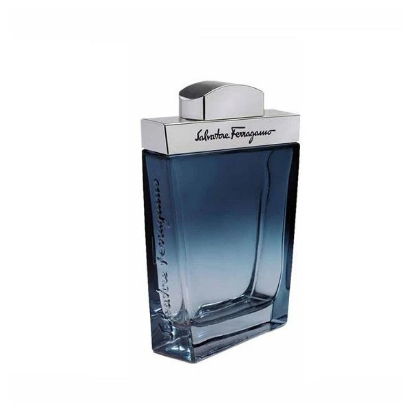 Salvatore Ferragamo Subtil Pour Homme EDT tualetinis vanduo vyrams, 100 ml