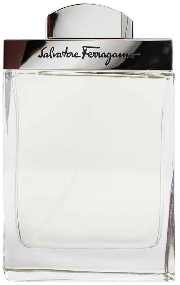 Salvatore Ferragamo Pour Homme EDT tualetinis vanduo vyrams, 100 ml