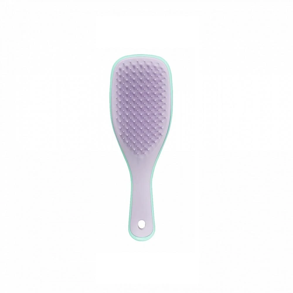 Tangle Teezer TANGLE TEEZER_The Wet Detangler Mini Wisteria Leaf plaukų šepetys