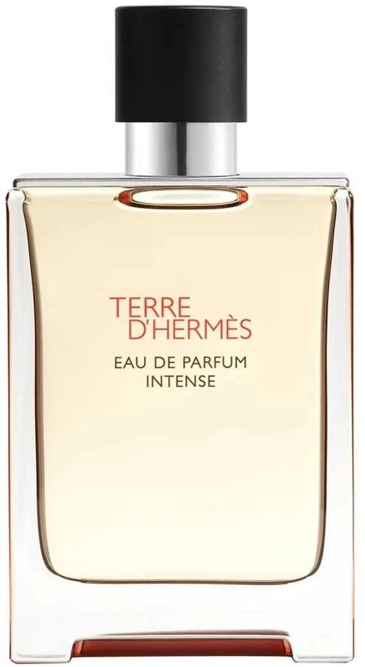 Hermes Terre D'Hermes EDP parfumuotas vanduo unisex, 100 ml