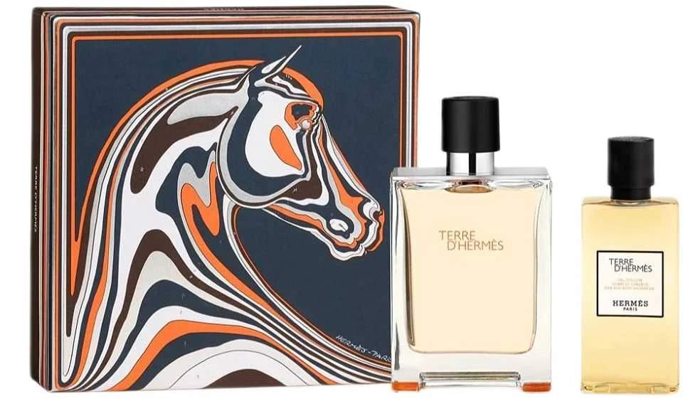 Hermès Hermes Terre D'hermes rinkinys vyrams (EDT, 100 ml + dušo želė, 80 ml)