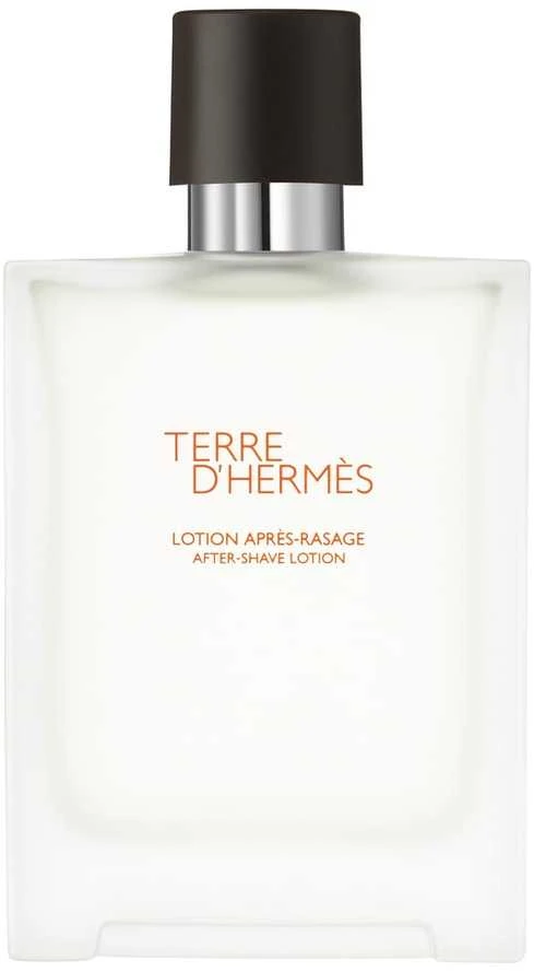 Hermes Terre d´Hermes Aftershave Vanduo vyrams, 100 ml