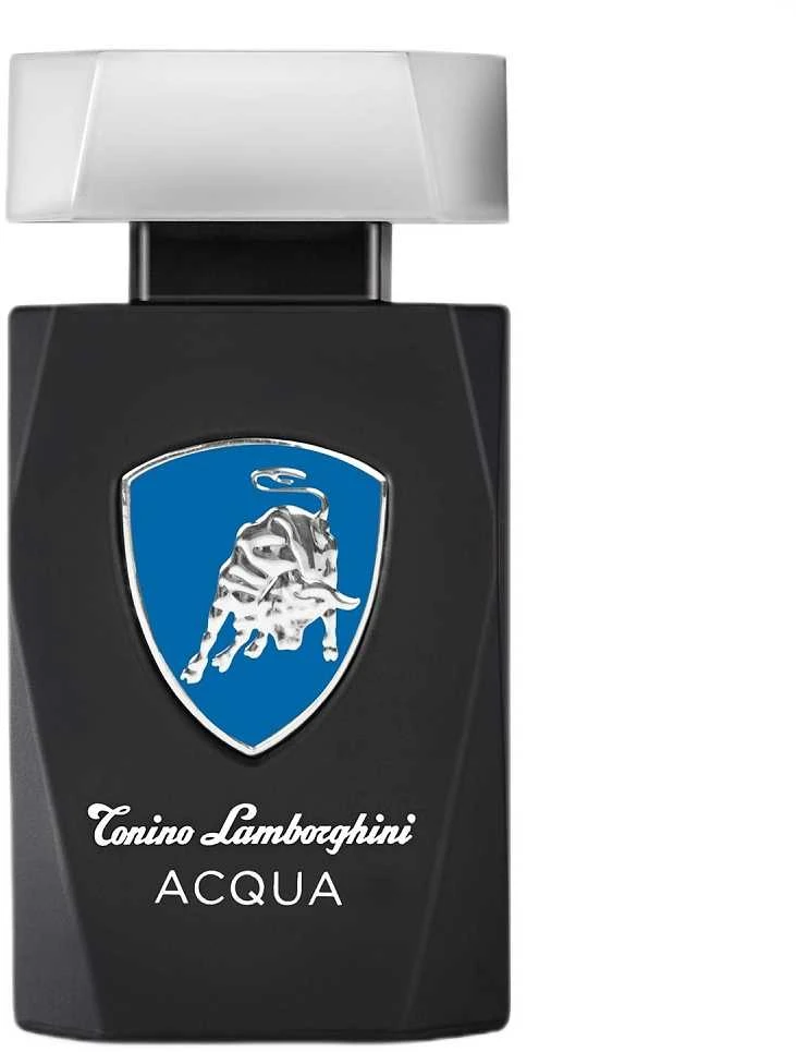 Tonino Lamborghini Lamborghini Acqua EDT tualetinis vanduo vyrams, 125 ml