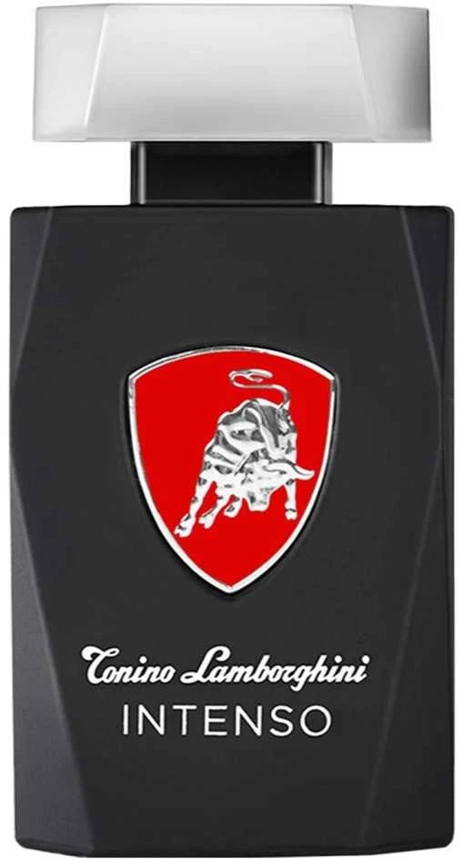 Tonino Lamborghini Lamborghini Intenso EDT tualetinis vanduo vyrams, 200 ml