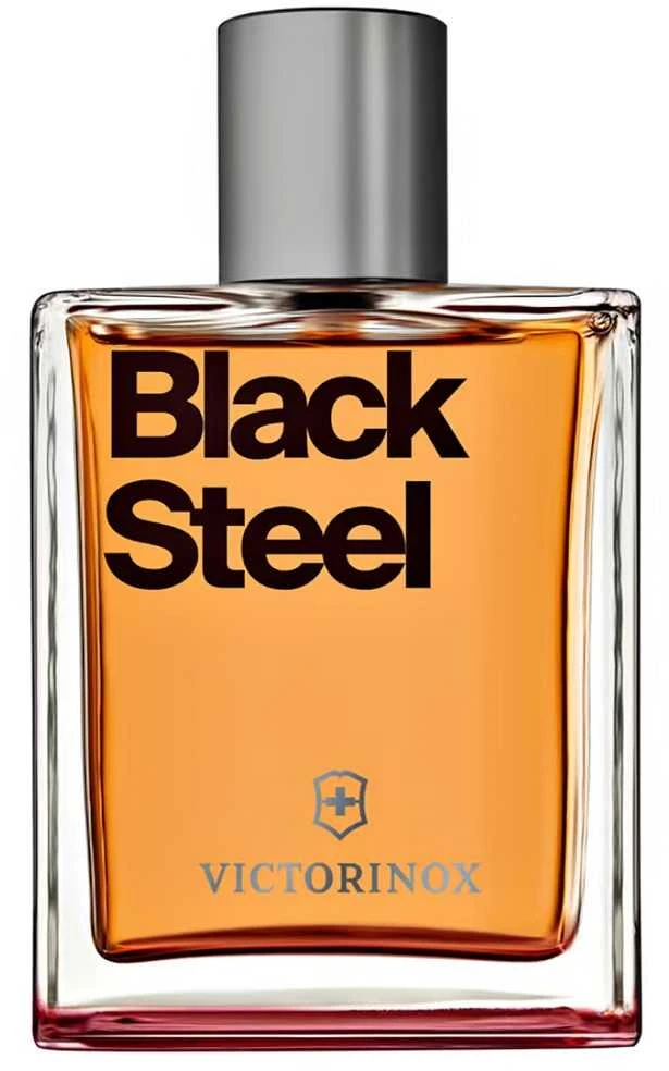 Victorinox Juodas Steel EDT tualetinis vanduo vyrams, 100 ml