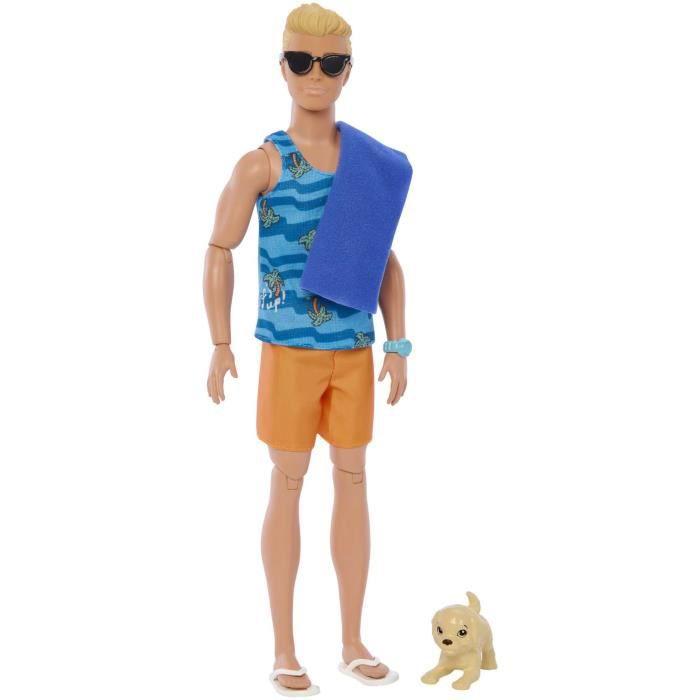 Mattel BARBIE KEN SURF DOLL lėlė (HPT50)