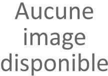 Bosch Akumuliatorinis smūginis suktuvas GDR 12V-110, 2x3.0Ah