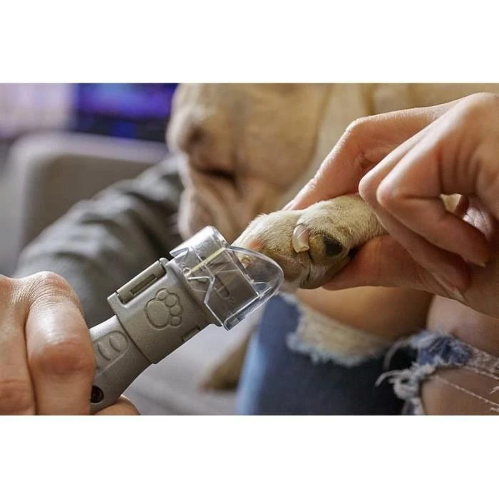 Dremel SD60-PGK Šlifavimo diskas, 10 vnt.