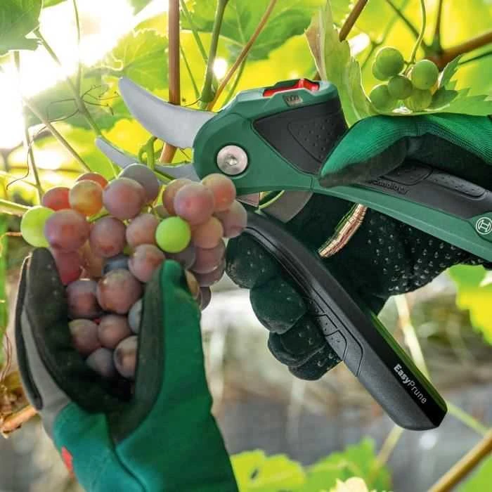 Akumuliatorinis sekatorius Bosch Easy Prune 06008B2102