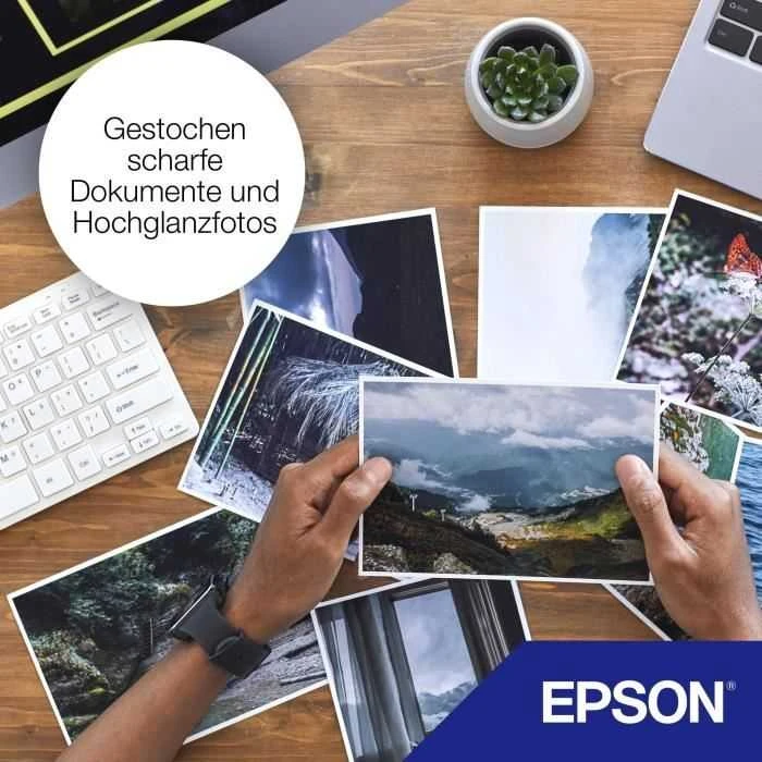 Epson 29 rašalo kasetė, geltona
