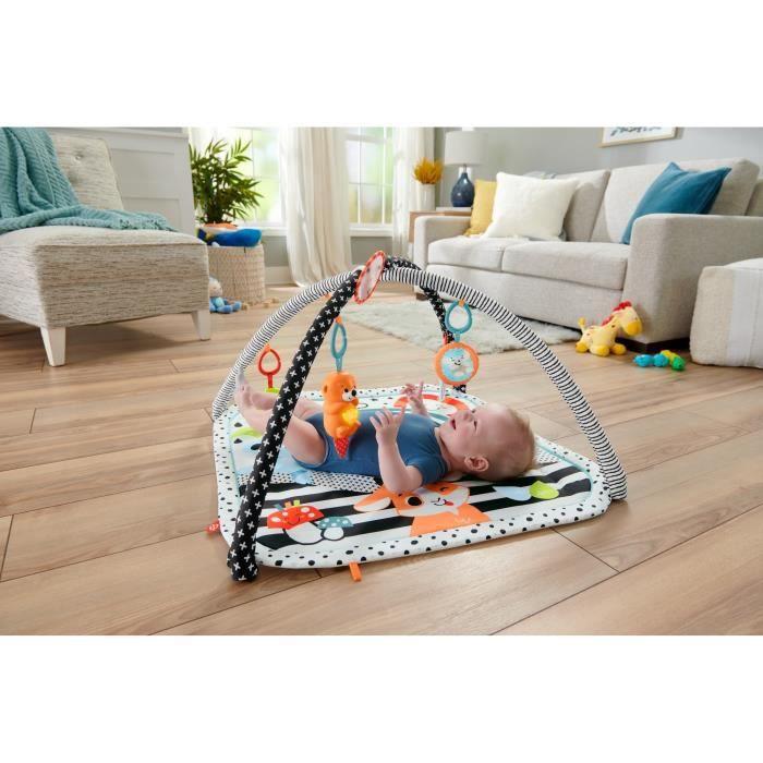 Fisher Price FP veiklos kilimėlis su šviečiančiu ir grojančiu gyvūnėliu