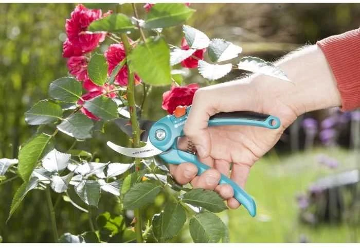 Sodo sekatorius Gardena B/S-M 8857-20 (967048001)
