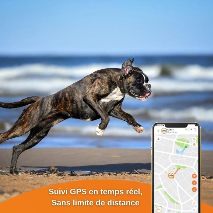 GPS sekiklis šunims - Weenect XS (Juodas leidimas 2023)