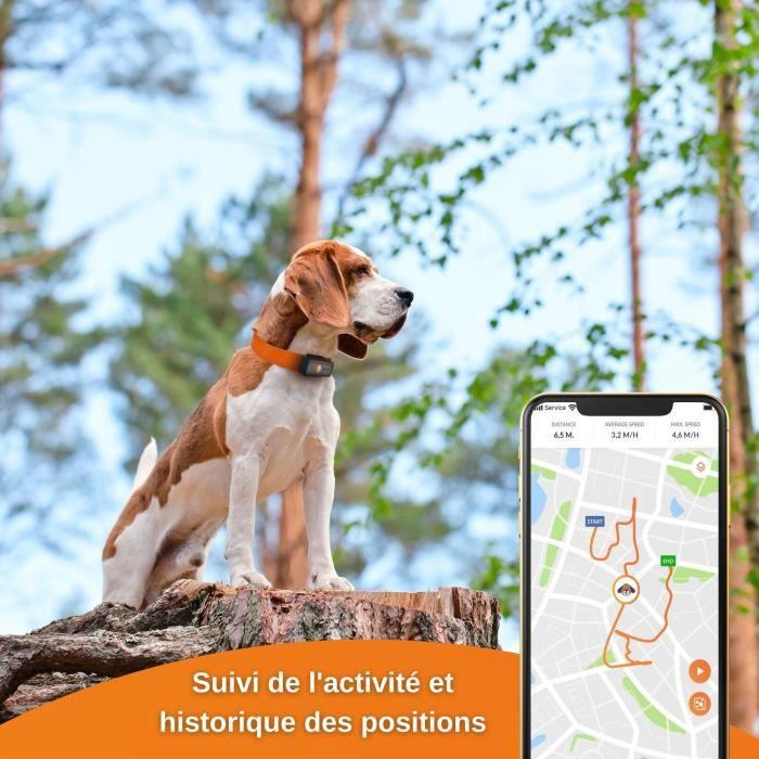 GPS sekiklis šunims - Weenect XS (Juodas leidimas 2023)