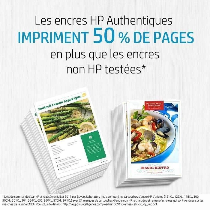 Hewlett Packard (HP) HP 933XL rašalo mėlyna Officejet 6700 Premium e-All-in-One Spausdintuvas - H711n