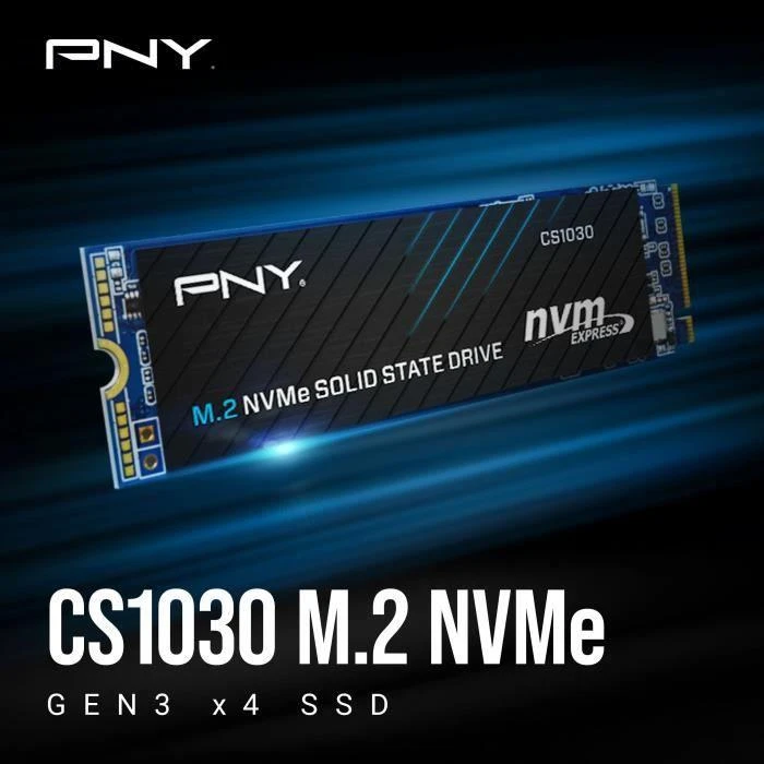 SSD vidinis kietasis diskas PNY CS1030 M.2 NVMe 250 GB