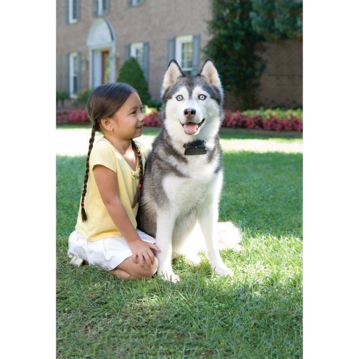 PetSafe Stubborn Dog papildomas antkaklis dideliems ir nepaklusniems šunims