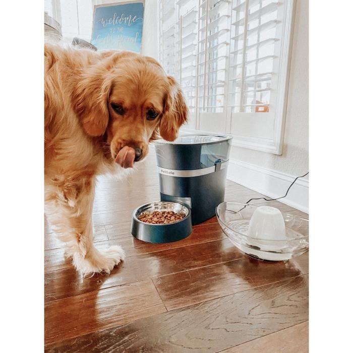 PetSafe Smart Feed Automatic Pet Feeder išmani automatinė šunų ir kačių šėrykla
