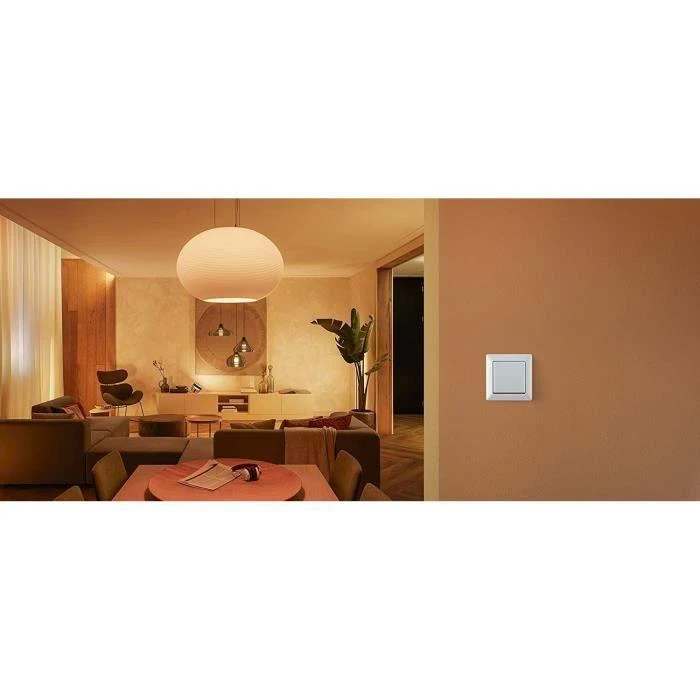Philips Hue | Hue sieninis jungiklio modulis | Baltas