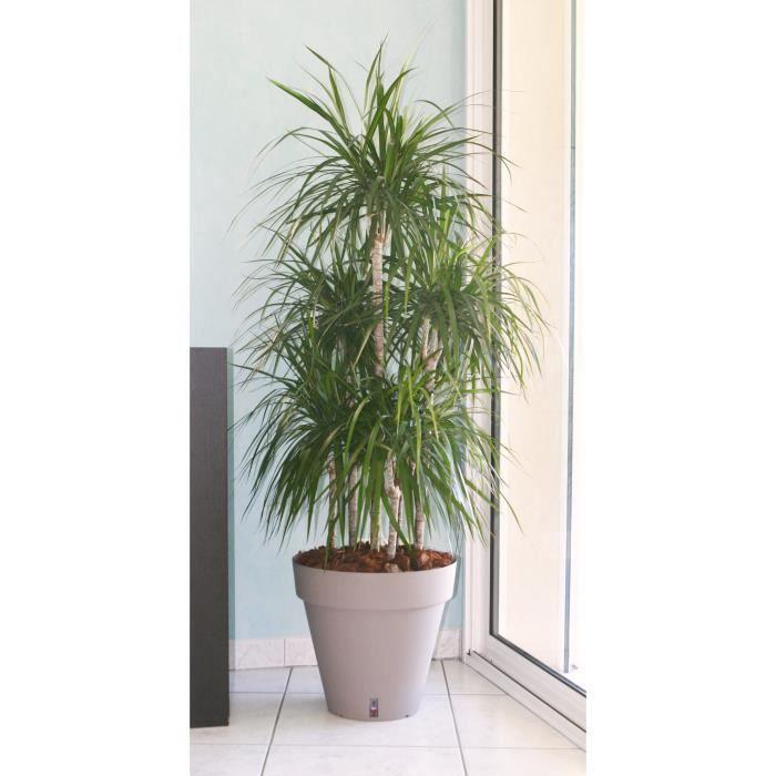 Self-watering flowerpot Riviera Eva New Plastic Squared Red (37 x 37 x 68,5 cm) main image 0