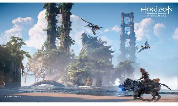 Sony Computer Entertainment Horizon Forbidden West PS5