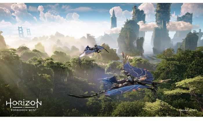 Sony Computer Entertainment Horizon Forbidden West PS5